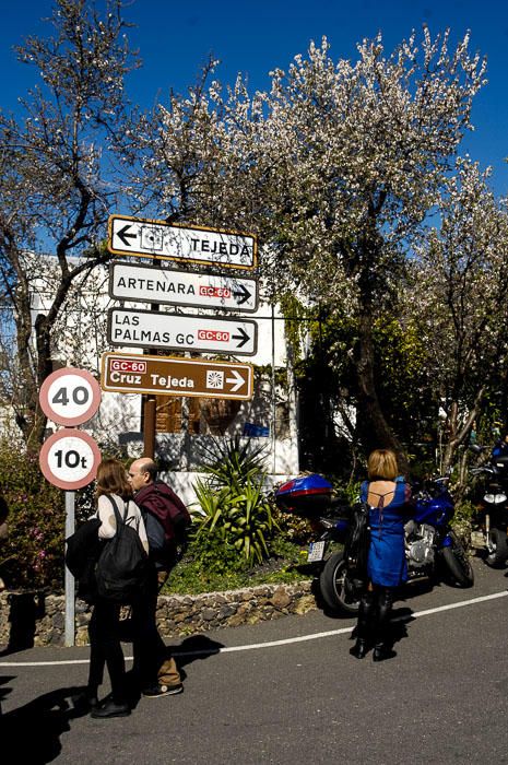 FIESTAS DEL ALMENDRO EN FLOR TEJEDA