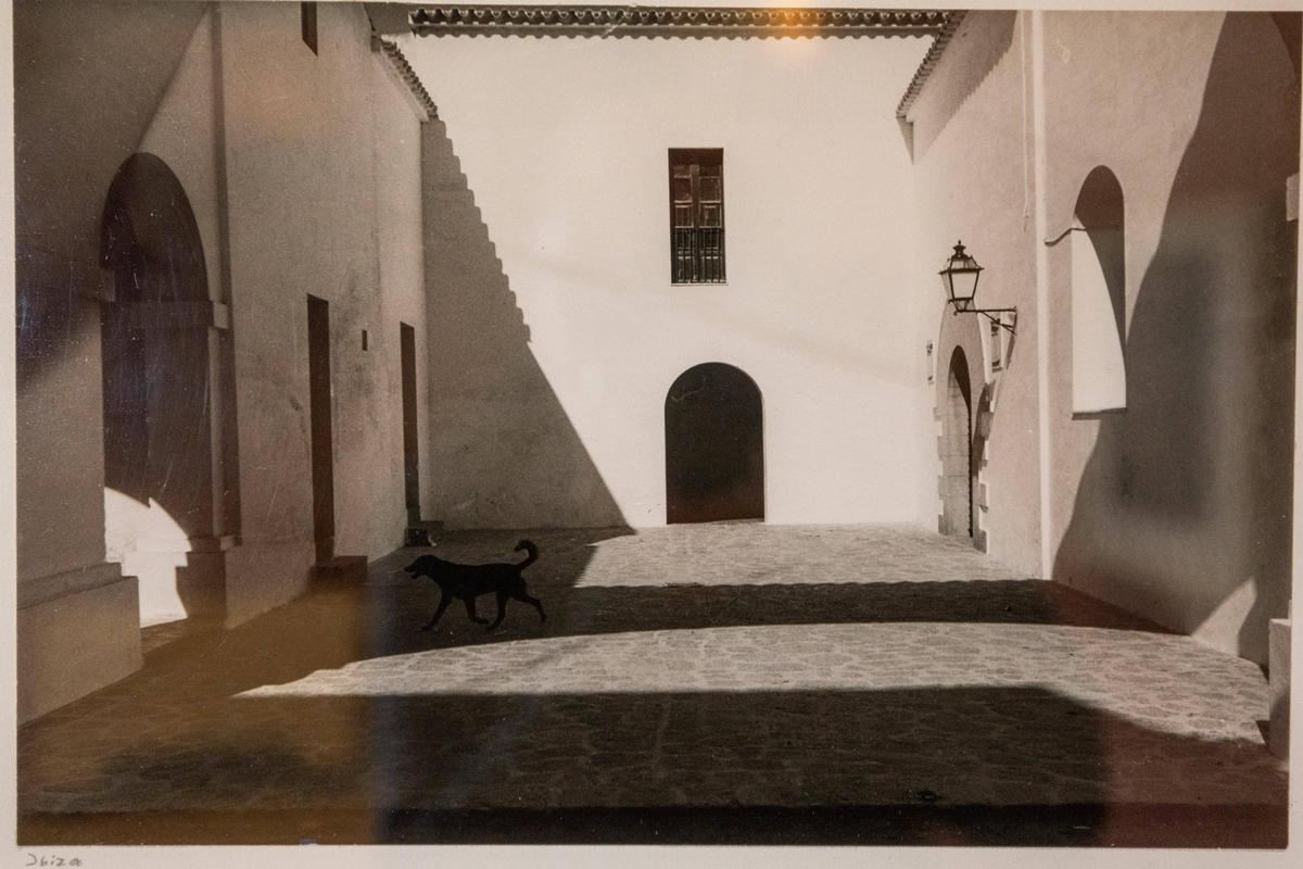 Todas las imágenes de la exposición del fotográfo Robert Häusser en el Museu Puget