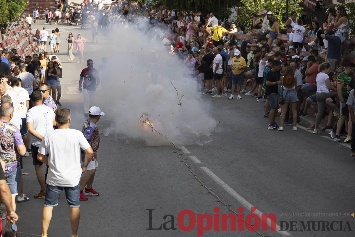 El segundo encierro de las Fiestas de Moratalla se salda con un herido