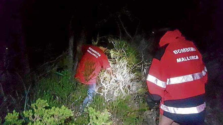 Un bombero junto a la mujer rescatada anteayer en Puigpunyent.