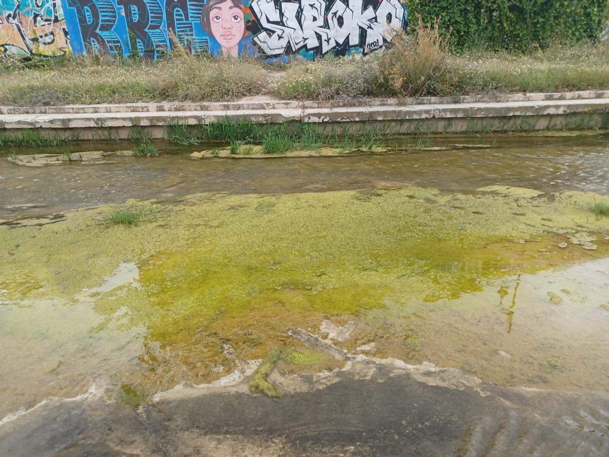 Persistente mal olor de las aguas