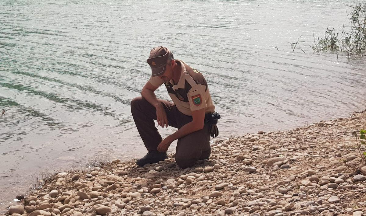 Un dels guardes del paisatge protegit del Millars observa alguns dels rastres de les llúdries que ja passegen per la vora de la mar.