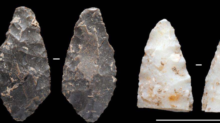 Algunes de les peces que s'han trobat a la cova d'en Pau.