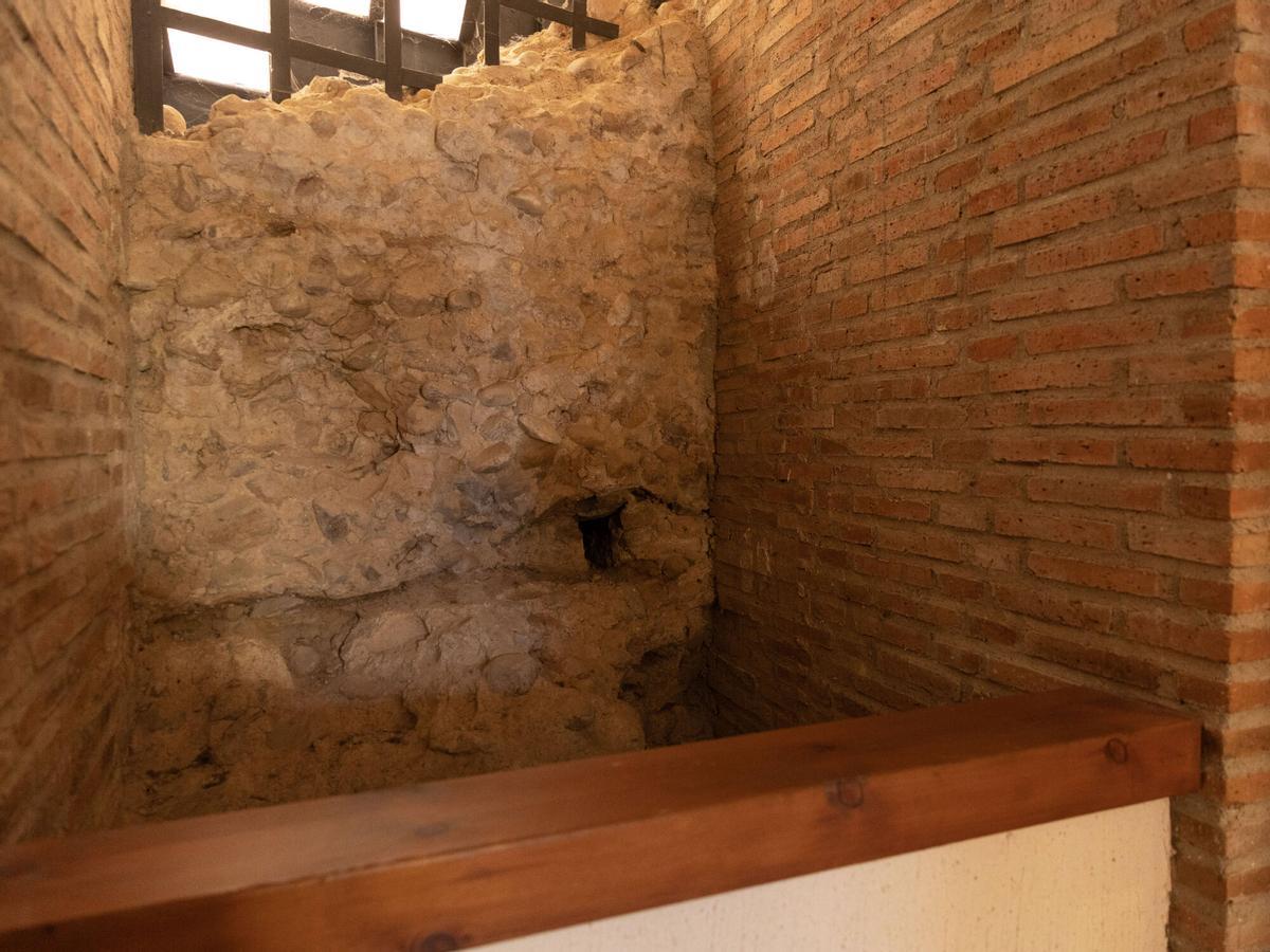 Las mejores imágenes del archivo de Toro