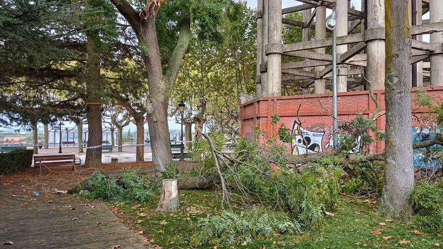 Precintados los jardines de la Mota en Benavente por las fuertes rachas de viento