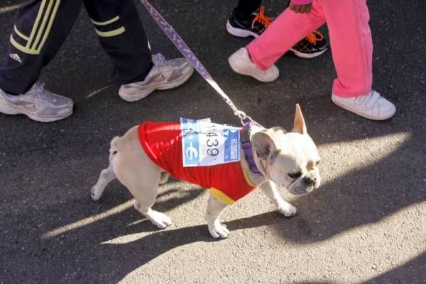 Fotogalería: Carrera Popular Ibercaja por la integración