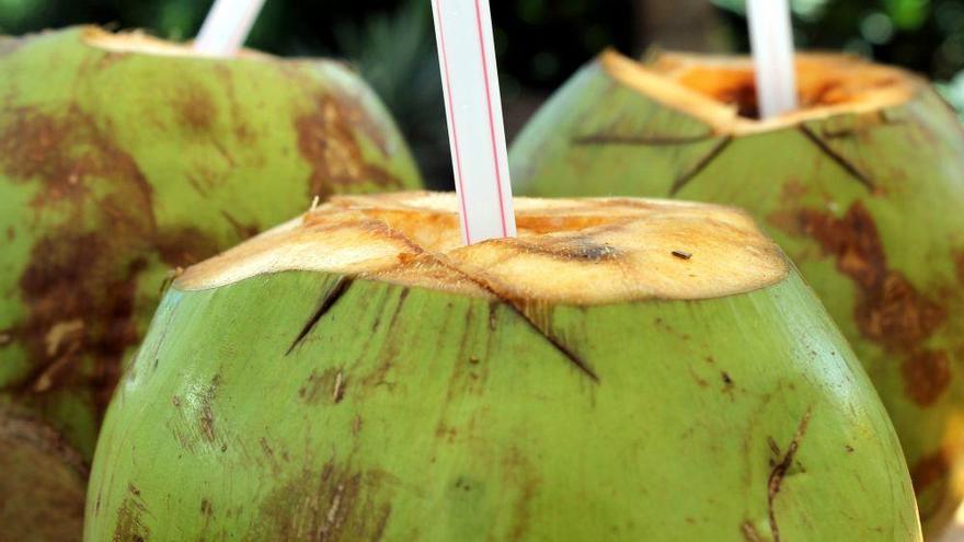 Agua de coco. La bebida tropical y saludable