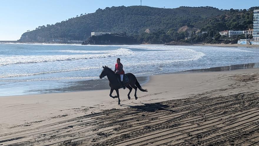 Orpesa atrae a casi 5.000 personas a su carrera de caballos y burros