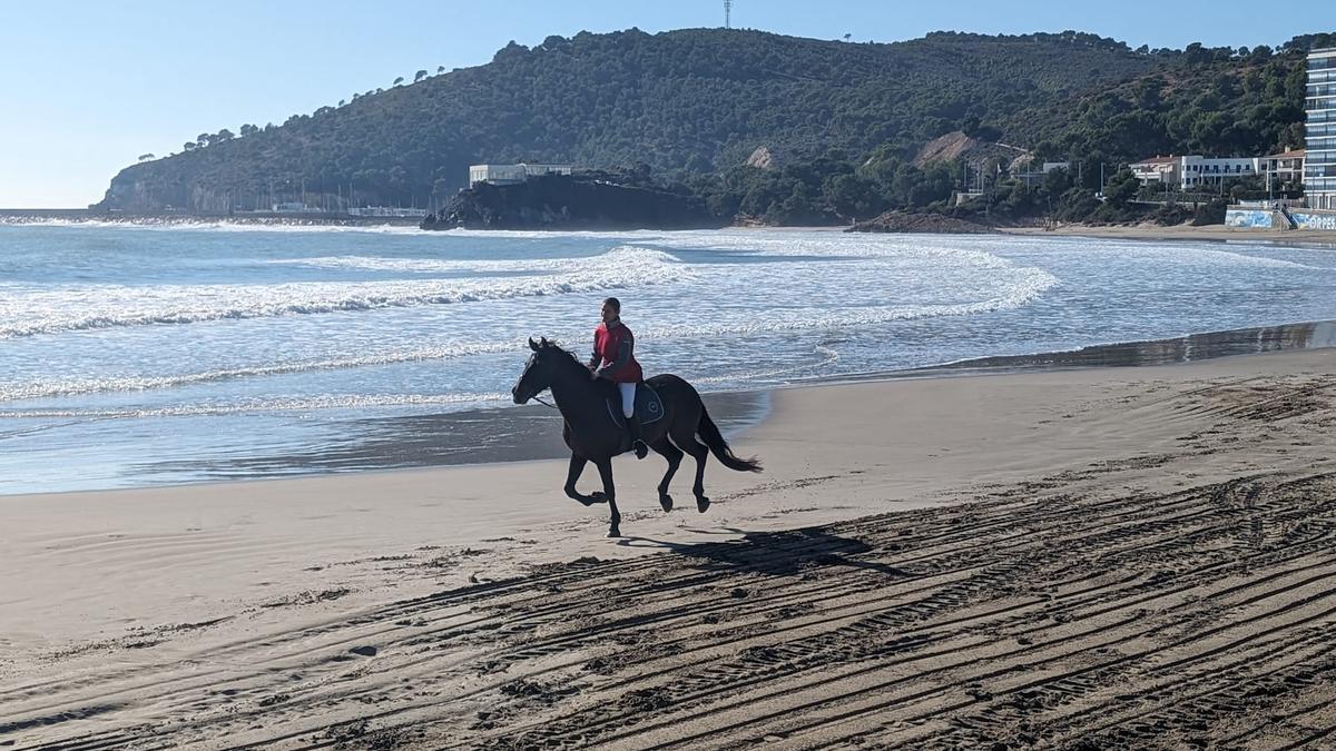 Galería | Las espectaculares imágenes de la carrera de caballos y burros en Orpesa