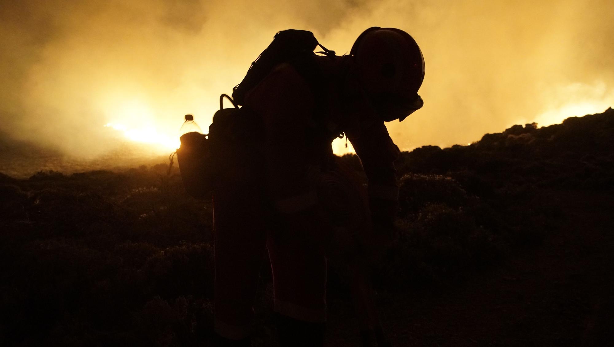 L'incendi forestal de Tenerife, en imatges