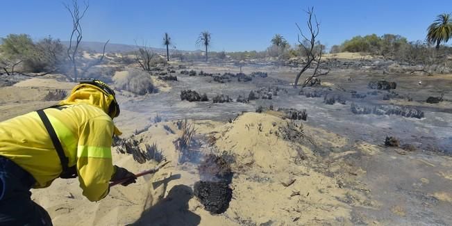 Incendio en la zona de las dunas de Maspalomas