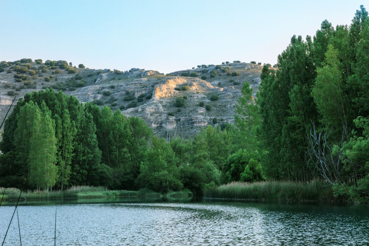 Si te gusta el avistamiento de aves, tienes que visitar la Laguna