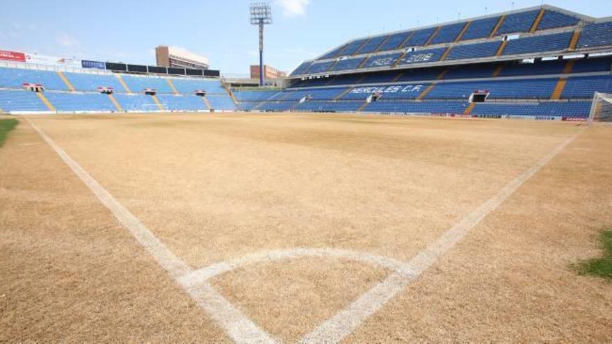 Imagen a ras de césped del estadio Rico Pérez, ayer por la mañana, mientras los jugadores del Hércules entrenaban en el Estadio de Atletismo del Monte Tossal.