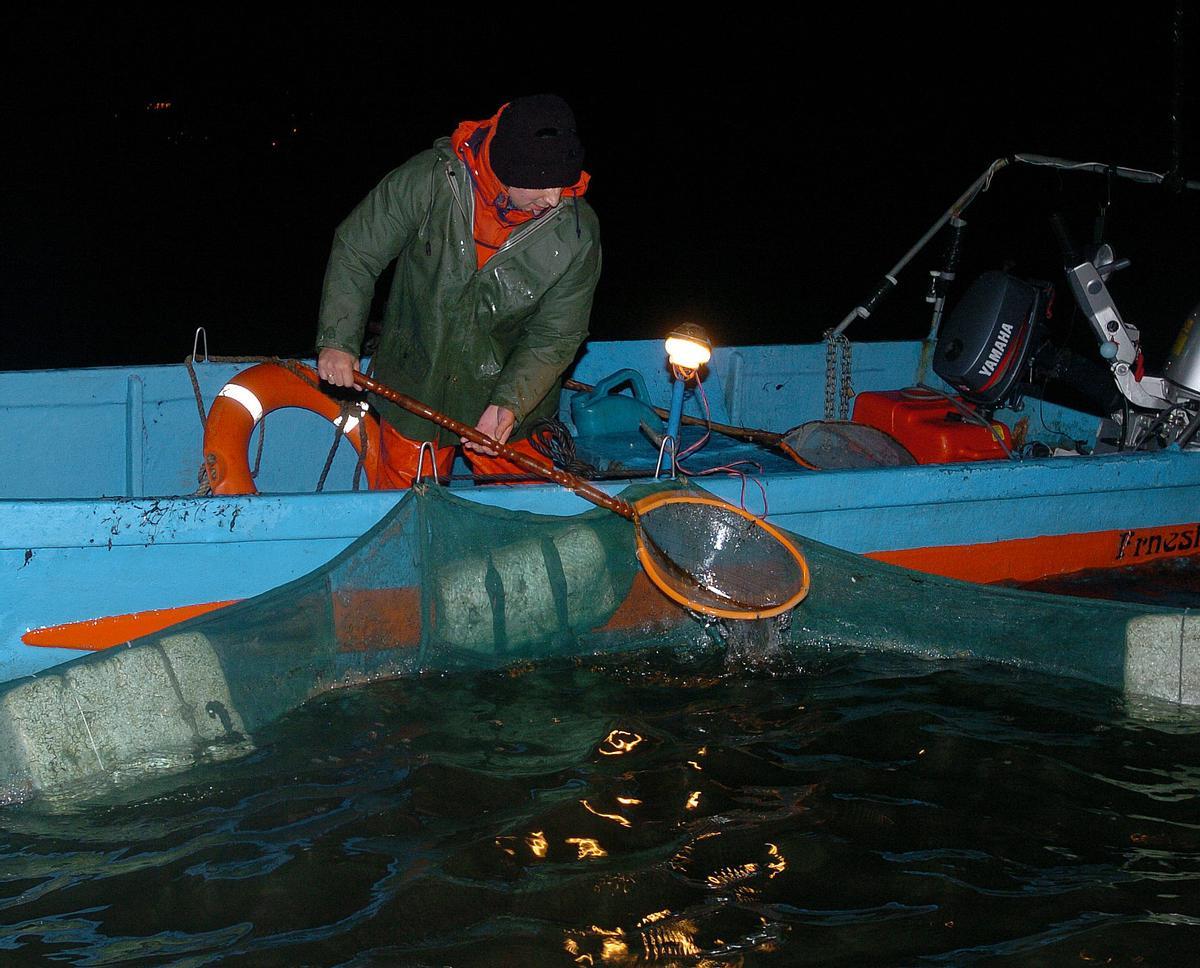 Imagen de archivo de un pescador gallego extrayendo del agua su cedazo, usado para la pesca de angula.