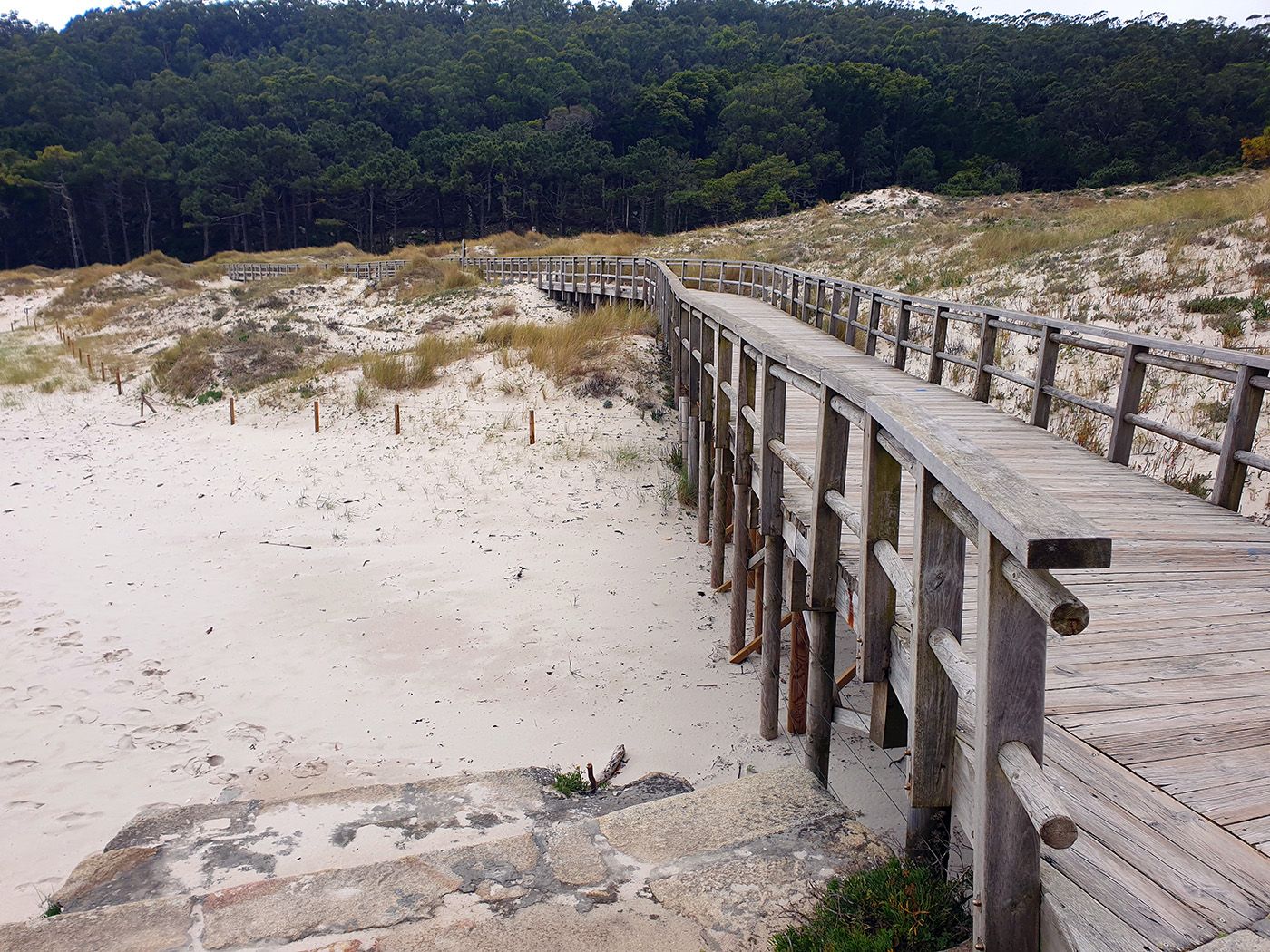 Los “ángeles” del  paraíso natural vigués