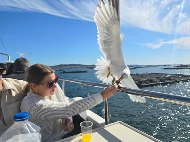 En ruta por Arousa subidos a sus catamaranes
