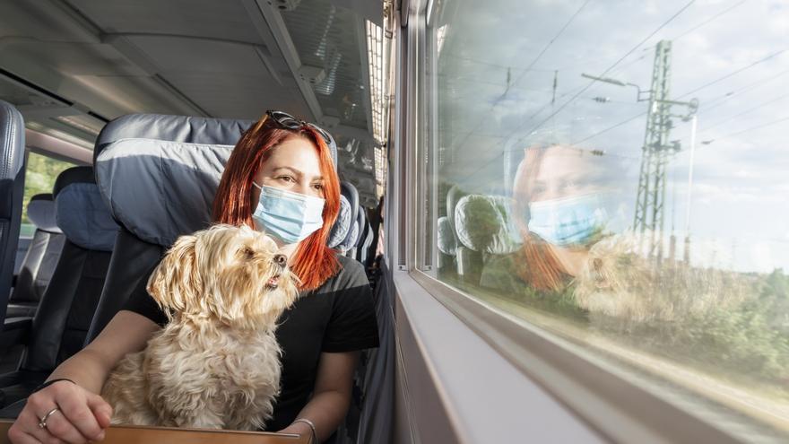 ¿Puede viajar mi mascota en tren? ¿Cuáles son las diferencias entre trenes? Resolvemos estas dudas
