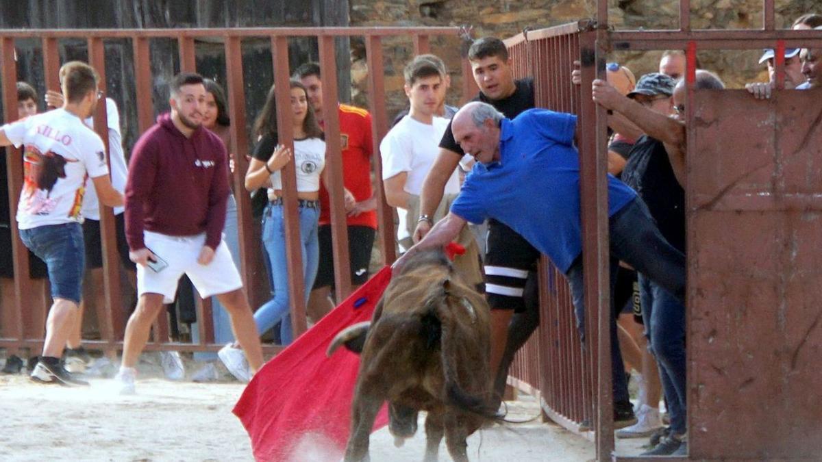 Encierro urbano en la villa alistana con motivo de las fiestas de San Mateo. | Ch. S. 