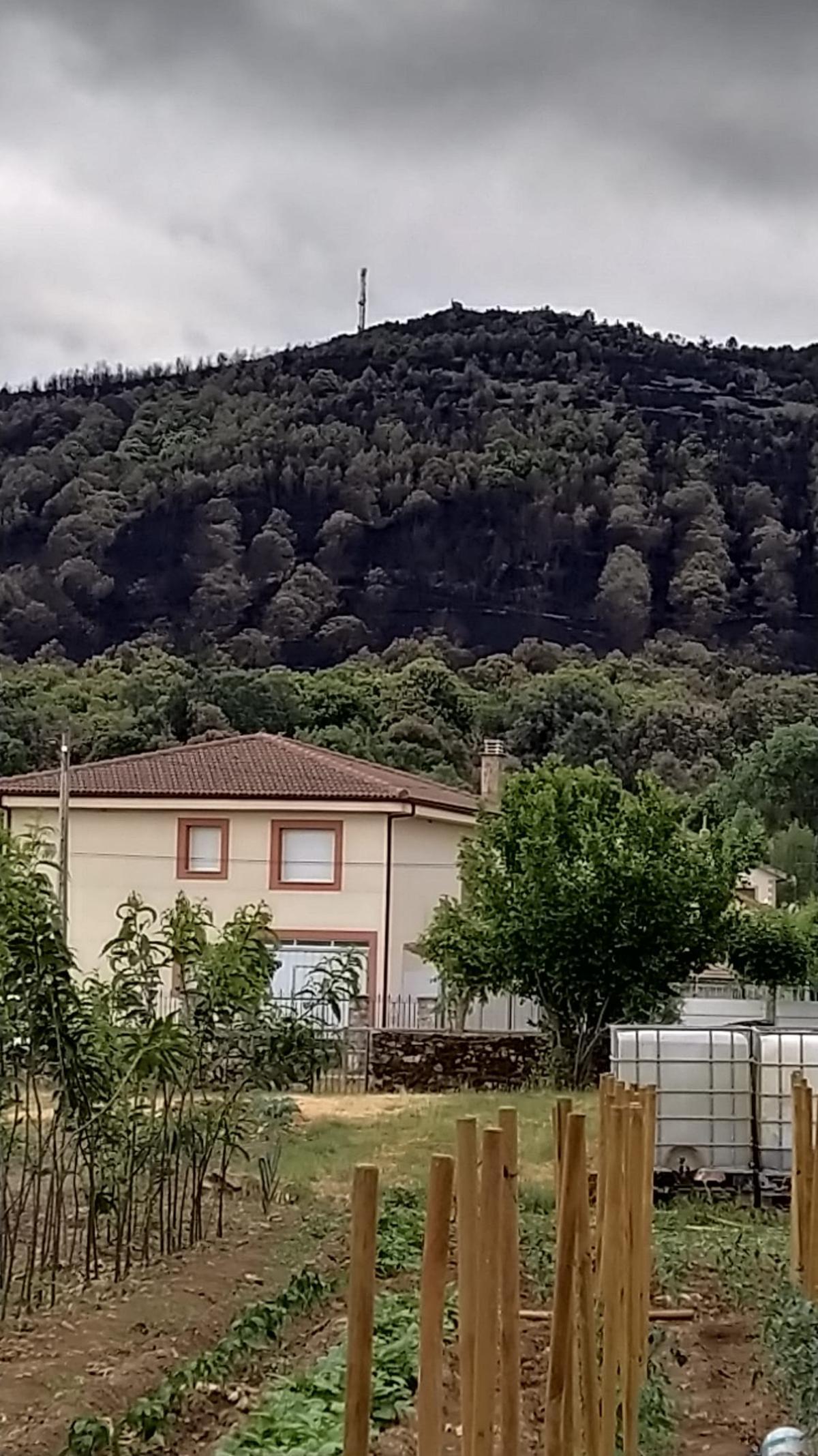 Vista del monte quemado de Ferreras desde la casa de los padres de Laura.