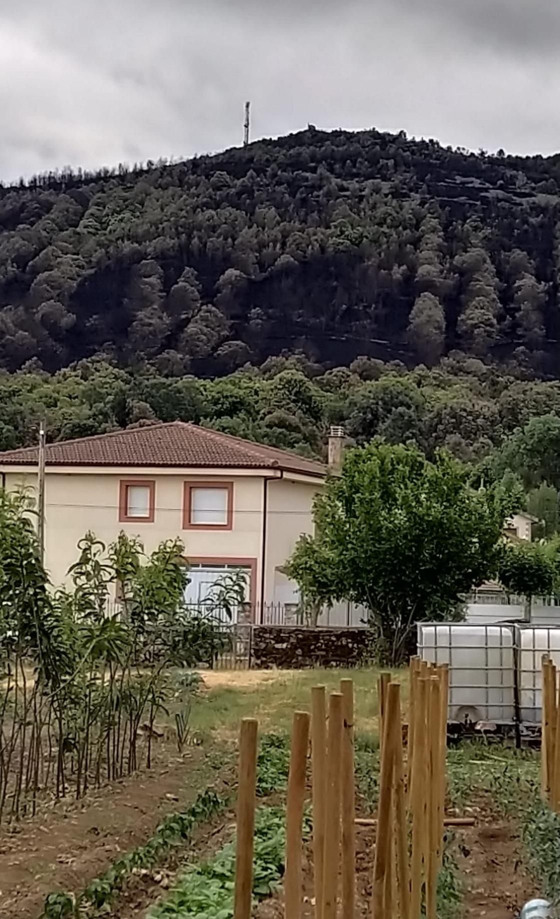 Vista del monte quemado de Ferreras desde la casa de los padres de Laura. 