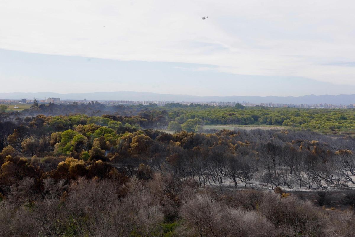 La extensión calcinada vista desde una torre