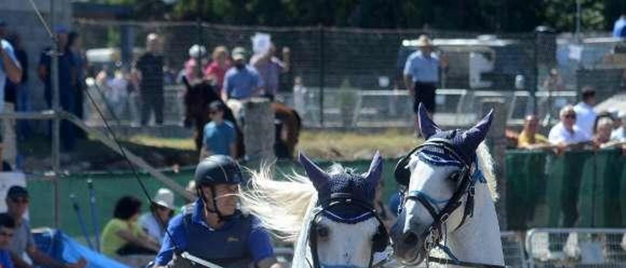 Un caballo expuesto en el mercado. // Noé Parga