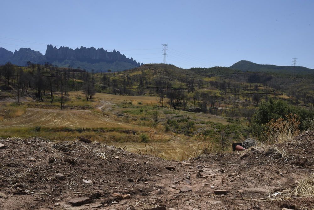 La zona afectada pel foc d'Òdena, un any després