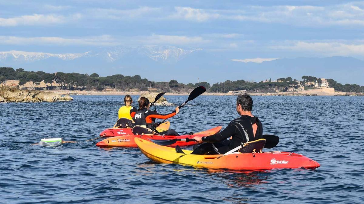 Surfing for Science rep un guardó europeu com a projecte de ciència ciutadana