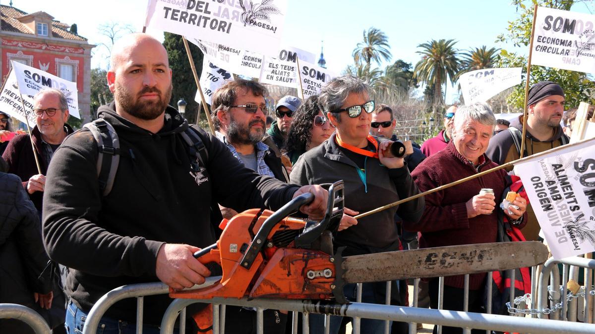 Una motoserra en la protesta pagesa a les portes del Parlament.