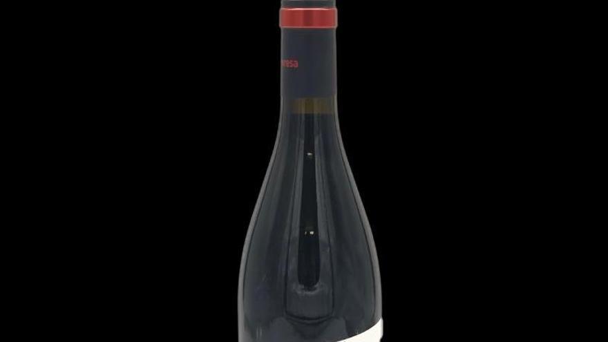 Sotneral Syrah 2025, un vi fresc amb elegància i expressió