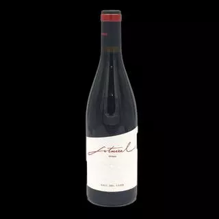 Sotneral Syrah 2025, un vi fresc amb elegància i expressió