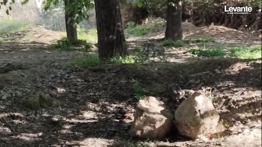 El paraje pascuero de la Xopera de Algemesí sigue sin "resucitar" tras la dana