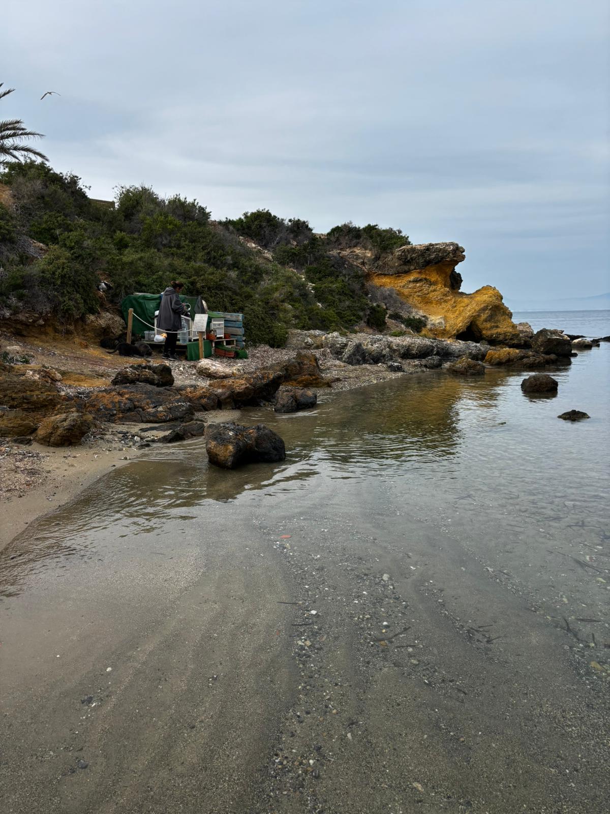 Los gatos de Tabarca tienen una zona donde pueden resguardarse y a la que una encargada les lleva comida