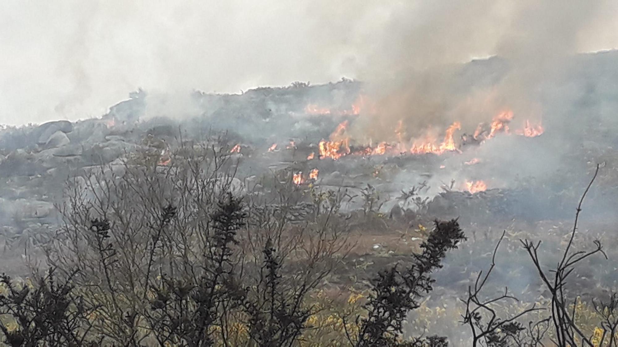 El fuego quemó 20 hectáreas de monte