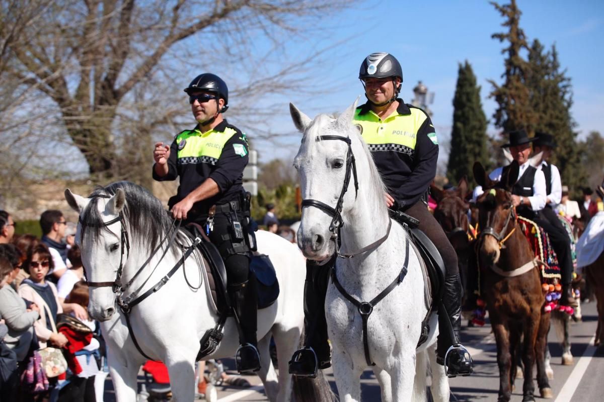 Cientos de caballistas y engances participan en la Marcha Hípica del 28-F en Córdoba