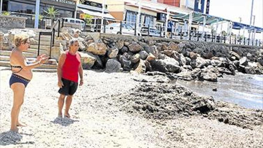 Alertan de las algas en la Concha de Orpesa