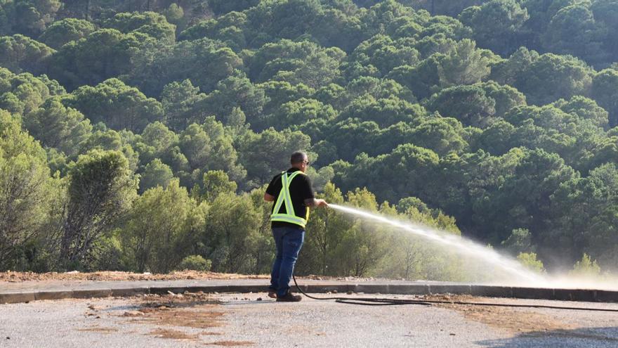 Los animales de la Sierra de Mijas también vuelven a casa