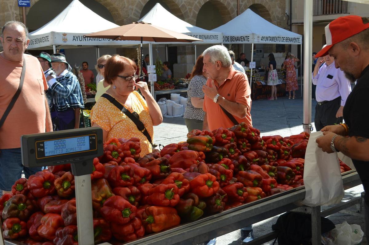 La Feria del Pimiento de Benavente 2026, en imágenes La Feria del Pimiento de Benavente 2026, en imágenes