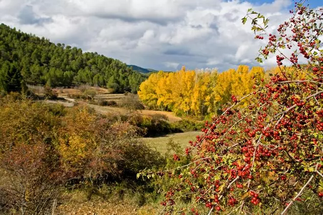 El pueblo más pequeño de Cuenca: 11 habitantes, infinitos encantos