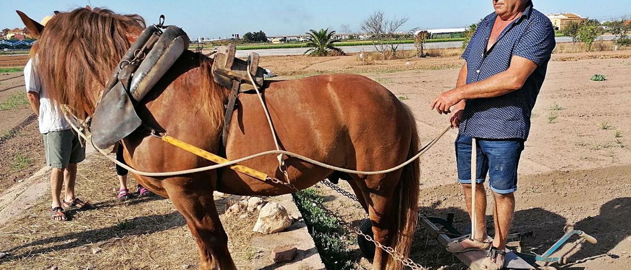 Formadores y participantes del proyecto «Haca i Mans» promovido por la Concejalía de Agricultura, Alimentación Sostenible y Huerta.  | LEVANTE-EMV