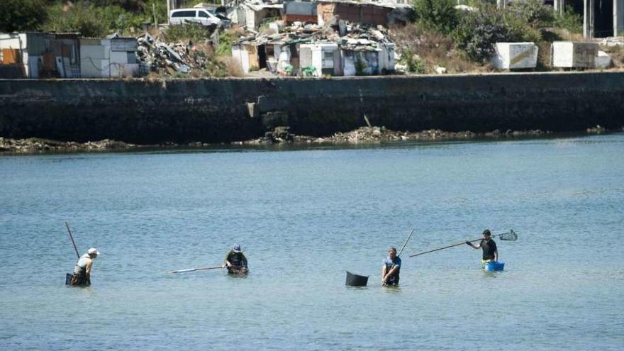 Mariscadores, en una jornada de trabajo, a la altura del asentamiento chabolista de A Pasaxe.