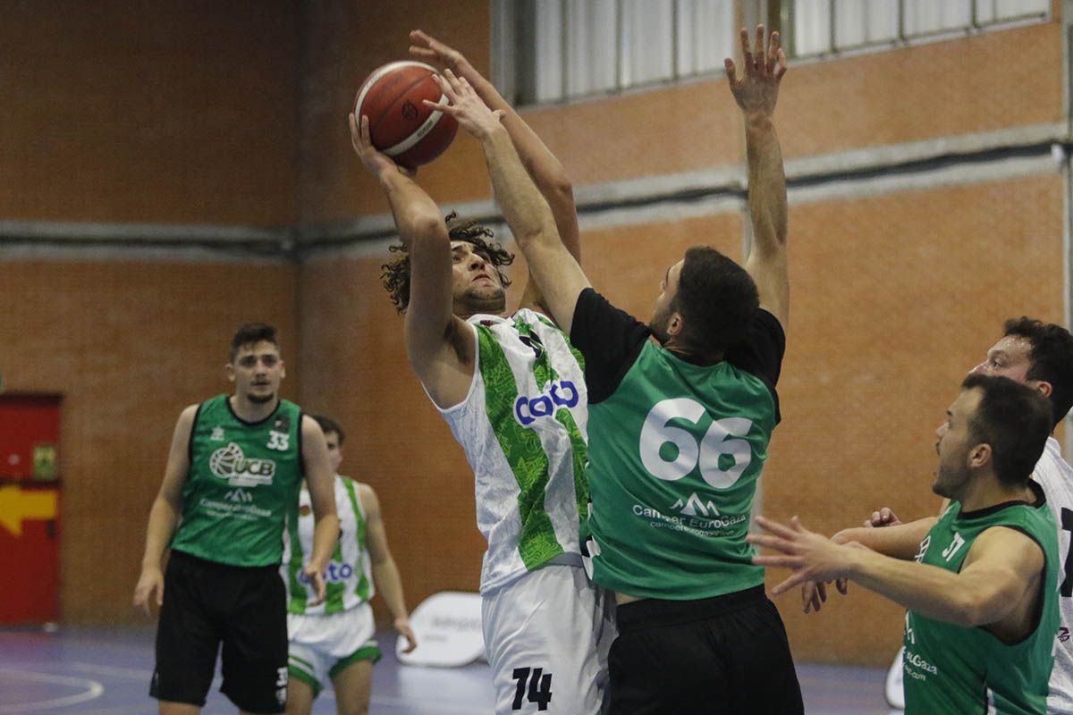 En imágenes, el derbi entre Coto Ciudad de Córdoba y el UCB Camper baloncesto