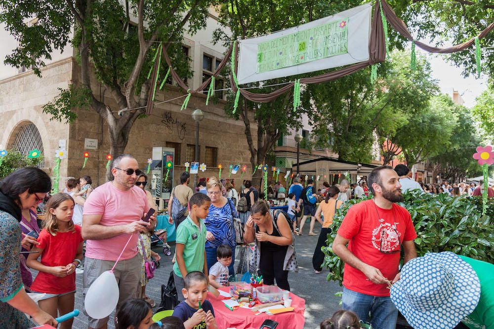 Diada del Medio Ambiente en Palma