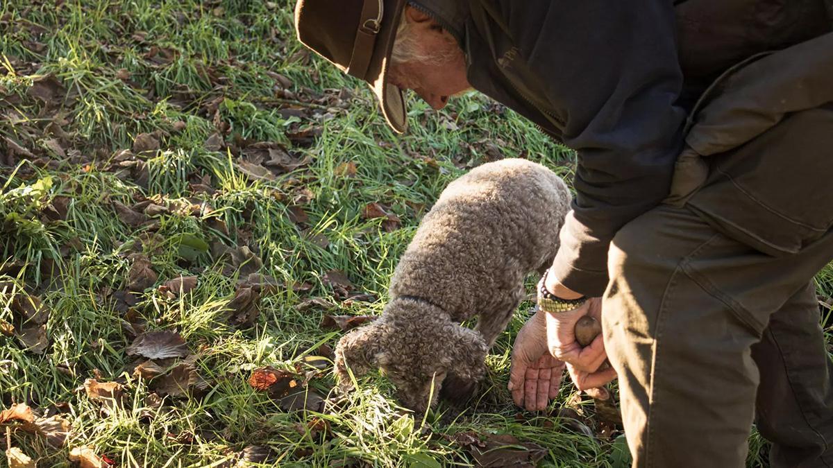 La Région d’Yverdon–Alma de Suiza