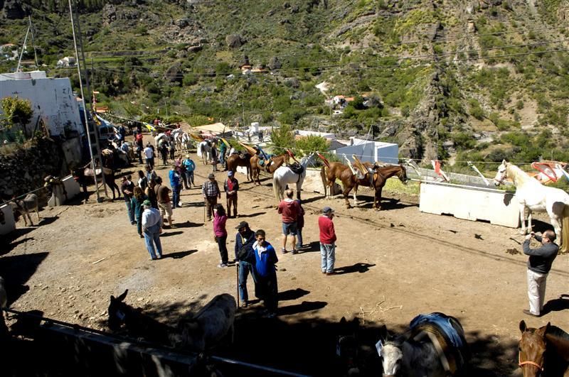 XX Feria Equina de La Culata de Tejeda