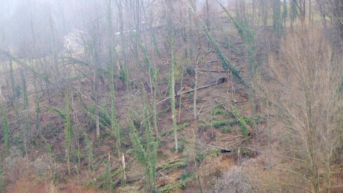 Nou episodi de ventades molt intenses a Catalunya: compte amb la mobilitat i les activitats a l'exterior