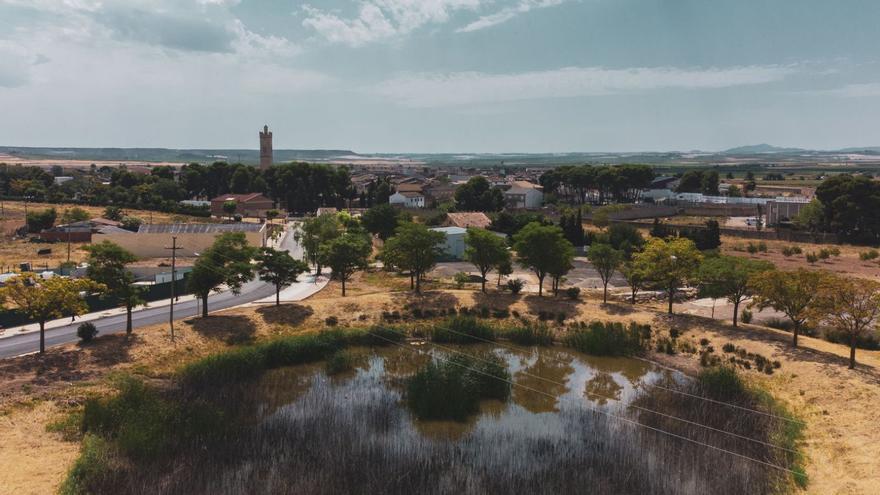 El trabajador se encargará del bacheado en los caminos rurales, poda, aclareo, sujeción o desbroce de zonas verdes. | SERVICIO ESPECIAL