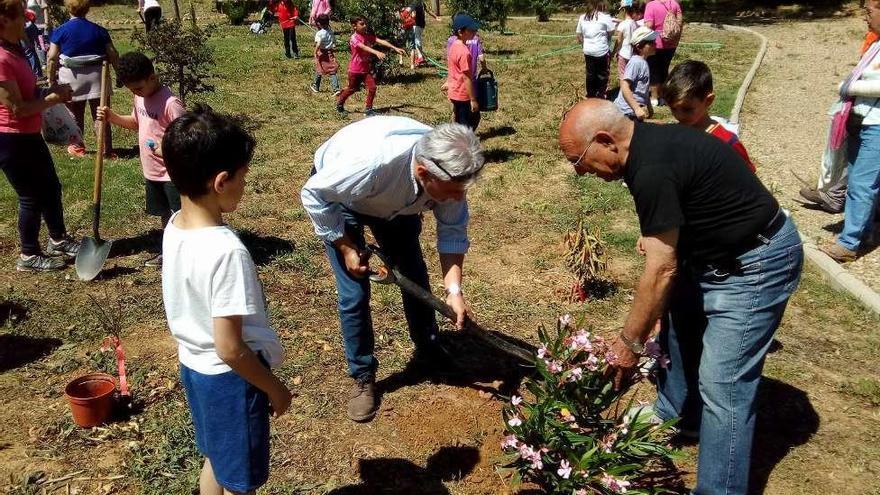 Niños y mayores participaron en la reposición de plantas en el Prado de las Pavas.