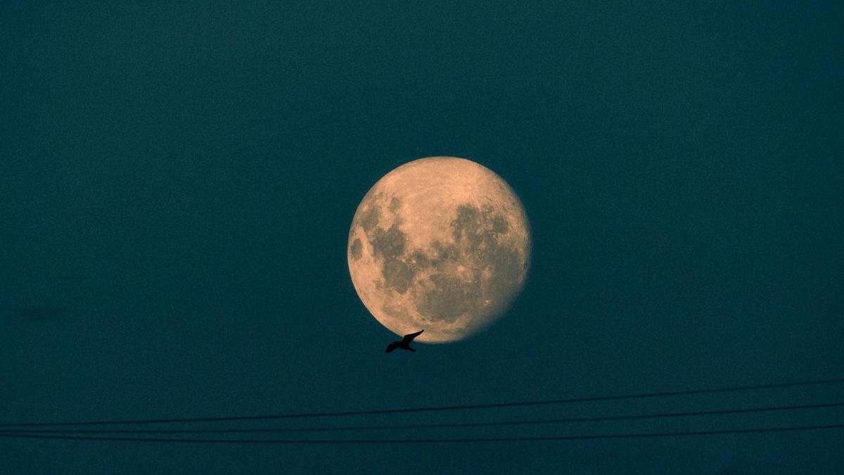 Luna llena.