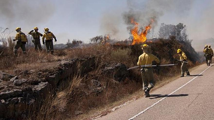 Los agentes medioambientales trabajan en la extinción del incendio declarado ayer en Villar del Buey.